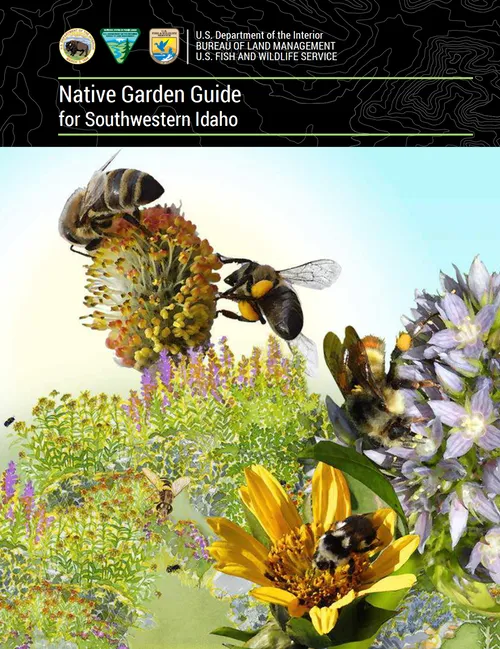 Download guide